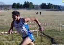 Crossscarmagno2012-33