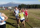 Crossscarmagno2012-36