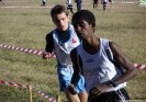 Crossscarmagno2012-4