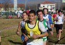 Crossscarmagno2012-61