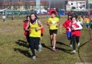 Crossscarmagno2012-85