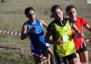 Crossscarmagno2012-8