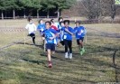 Crossscarmagno2012-97