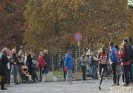 Turinmarathon2012-48