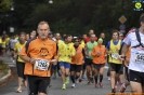 Turin marathon 2015-10