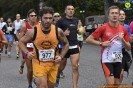 Turin marathon 2015-18