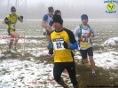 08/02/2015 - Cross di Caselle by Giancarlo Roatta