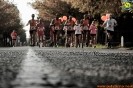 25/09/2016 - Hipporun Mezza maratona di Vinovo by Fabrizio Di Martino