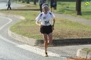 Hipporun-100