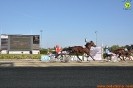 25/09/2016 - Hipporun Mezza maratona di Vinovo by Marcello Montalbano