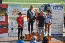 Hipporun-296