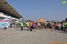 Hipporun-492
