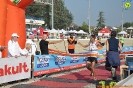 Hipporun-526