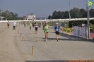 Hipporun-680