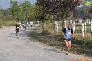 Hipporun-759
