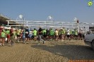 Hipporun-879