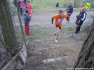 Cross trofarello 2016-24