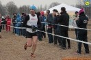 Crossborgaretto-286
