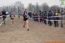 Crossborgaretto-78