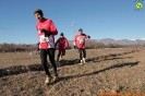 Cross Caselle-190