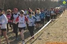 Cross Caselle-349