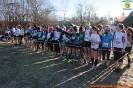 Cross Caselle-357