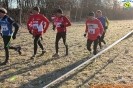 Cross Caselle-380