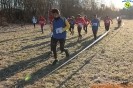 Cross Caselle-441