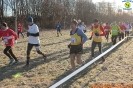 Cross Caselle-445