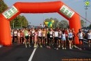 Hipporun-41