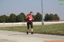 Hipporun-41