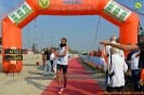 Hipporun-159
