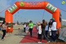 Hipporun-204