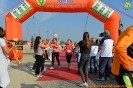 Hipporun-242