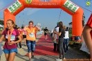 Hipporun-251