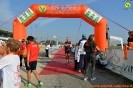 Hipporun-265