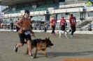 Hipporun-507