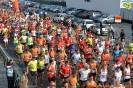 Hipporun-586