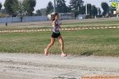 Hipporun-122