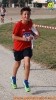 Hipporun-267