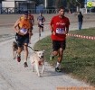 Hipporun-454