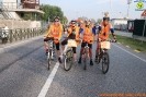 Hipporun-599