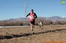 Caselle Cross-160
