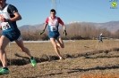 Caselle Cross-248