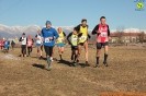 Caselle Cross-538