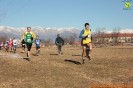 Caselle Cross-543