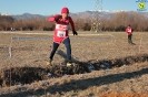 Caselle Cross-754