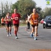 Hipporun 2018-157