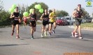 Hipporun 2018-161