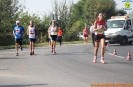 Hipporun 2018-234